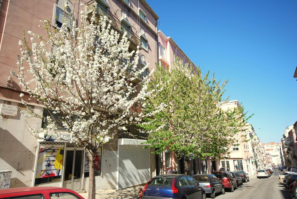 Sombrero Apartment Graca 리스본 객실 사진